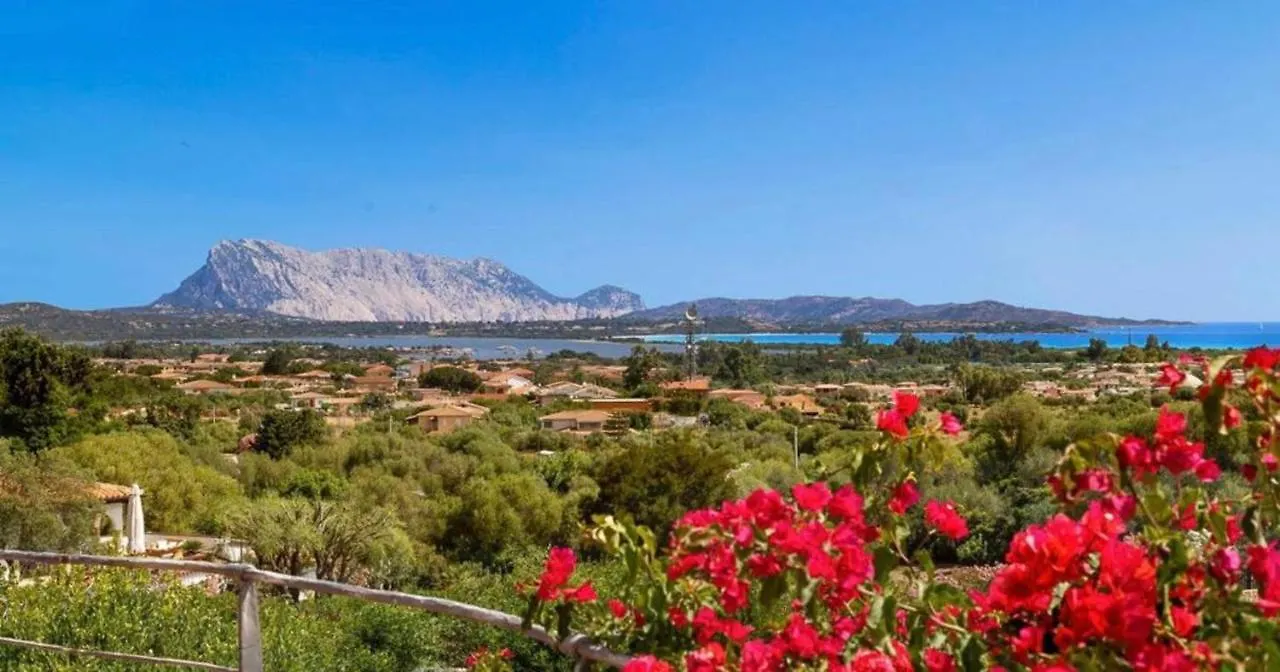 Appartamento Runcina 1 San Teodoro  0*, San Teodoro (Sardinia)