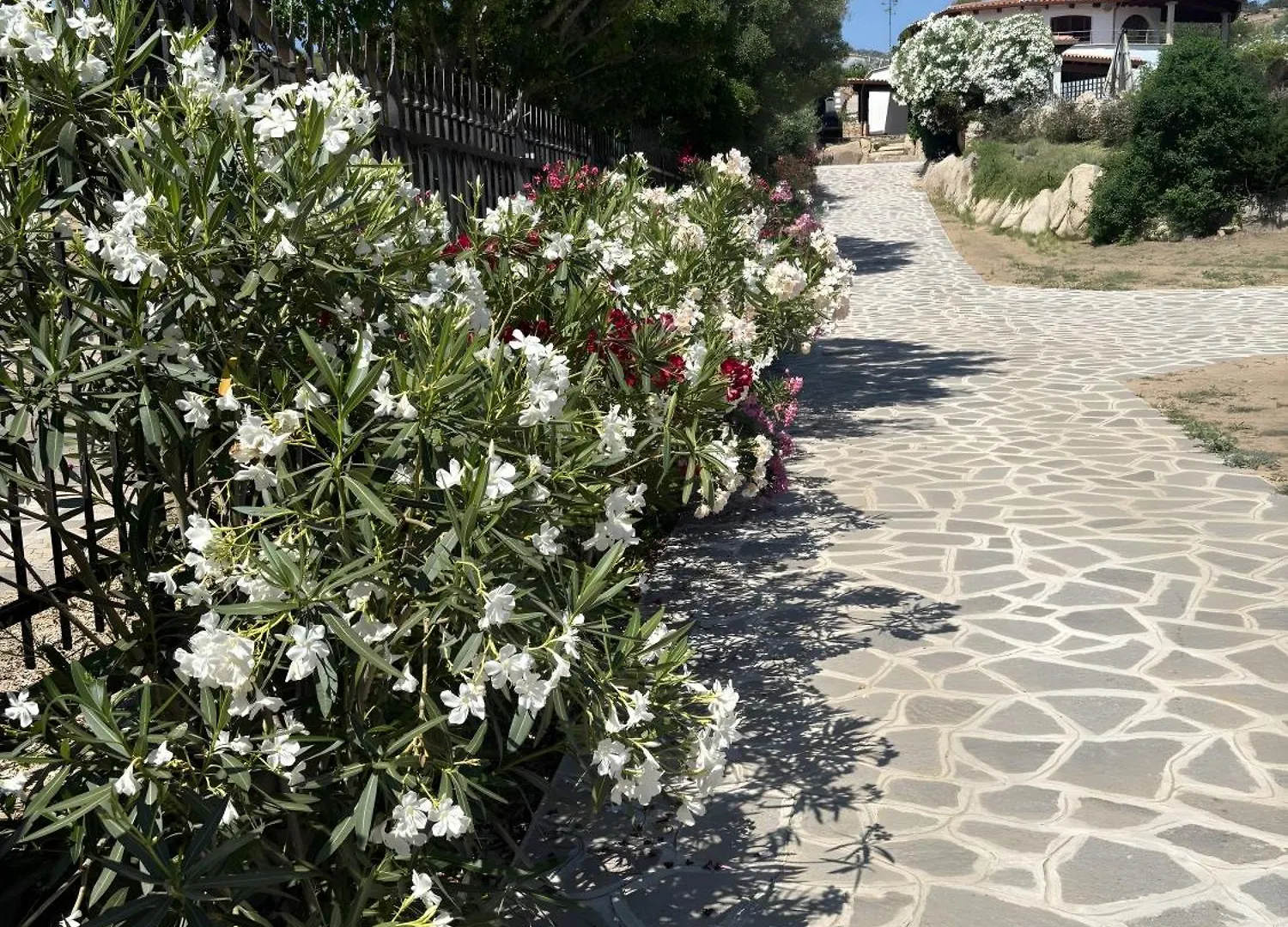 Appartamento Runcina 1 San Teodoro  0*, San Teodoro (Sardinia)